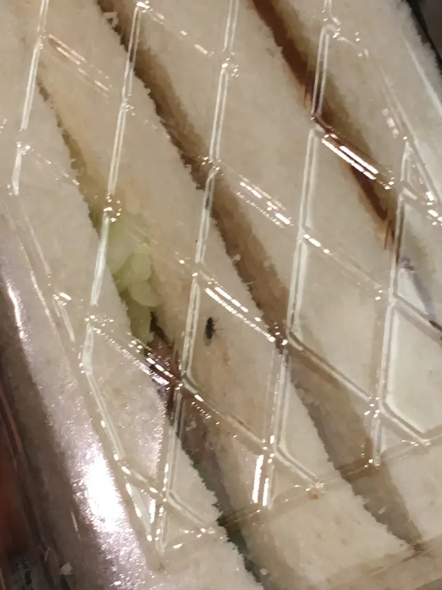內有蚊滋,職員不願丢棄