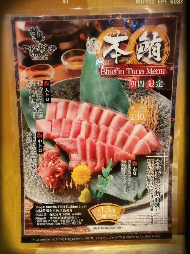 期間限定之藍鰭金槍魚廣告