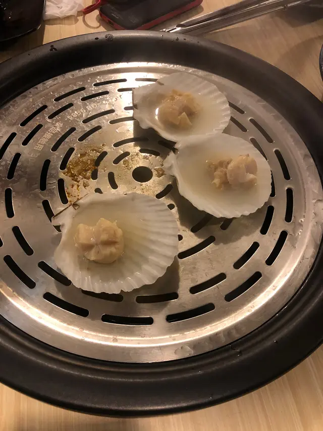 日本大元貝