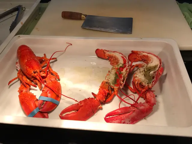 清蒸龍蝦