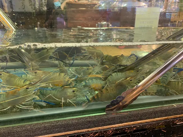 餐廳內設有數個夾蝦水缸 十分乾淨