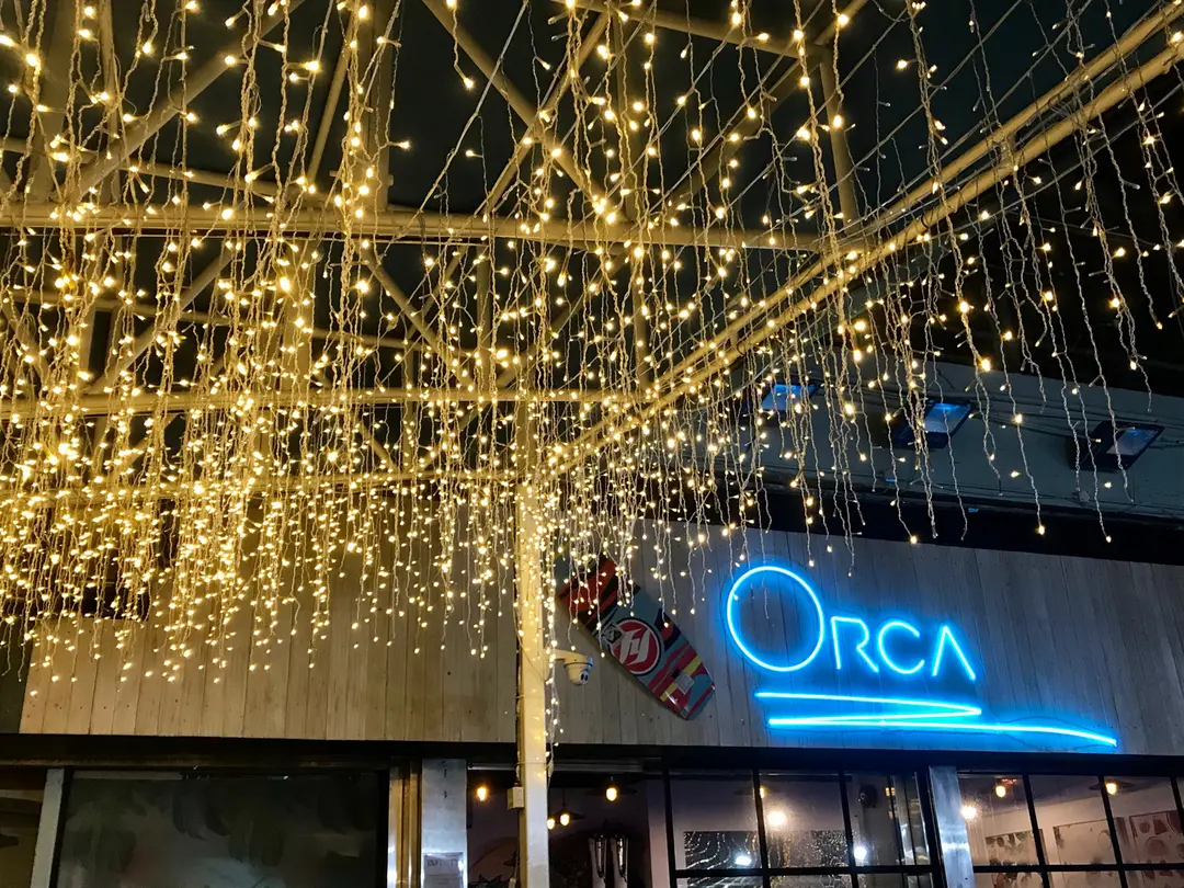 Orca