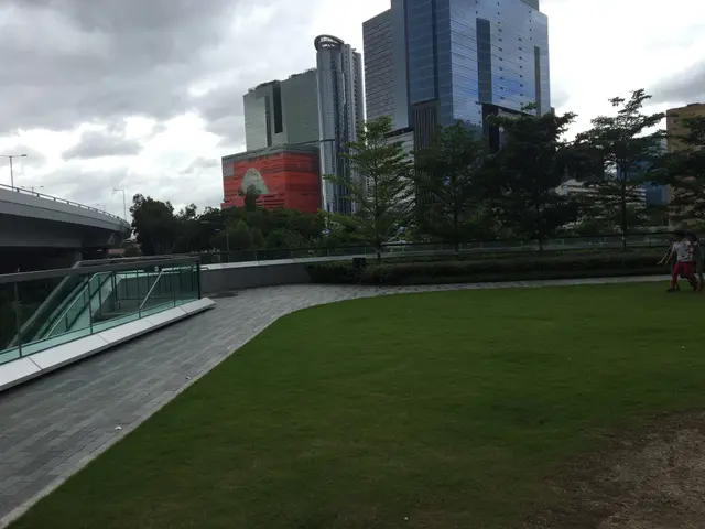 戶外一片大草地
