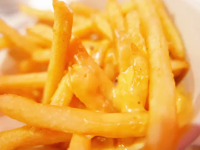 Cheese Fries