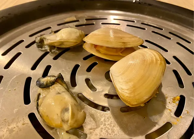 左:  韓國慶南蠔      右:  紐西蘭刀貝蚌