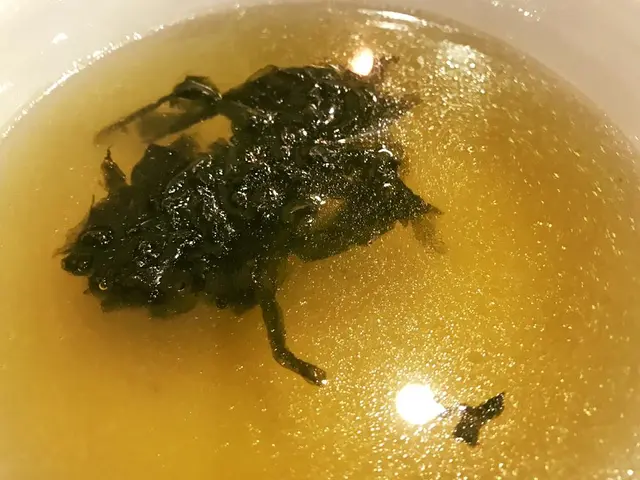 紫菜湯