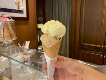 Hazelnut and Cream Regular Gelato