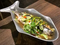 明爐青檸湯烏頭