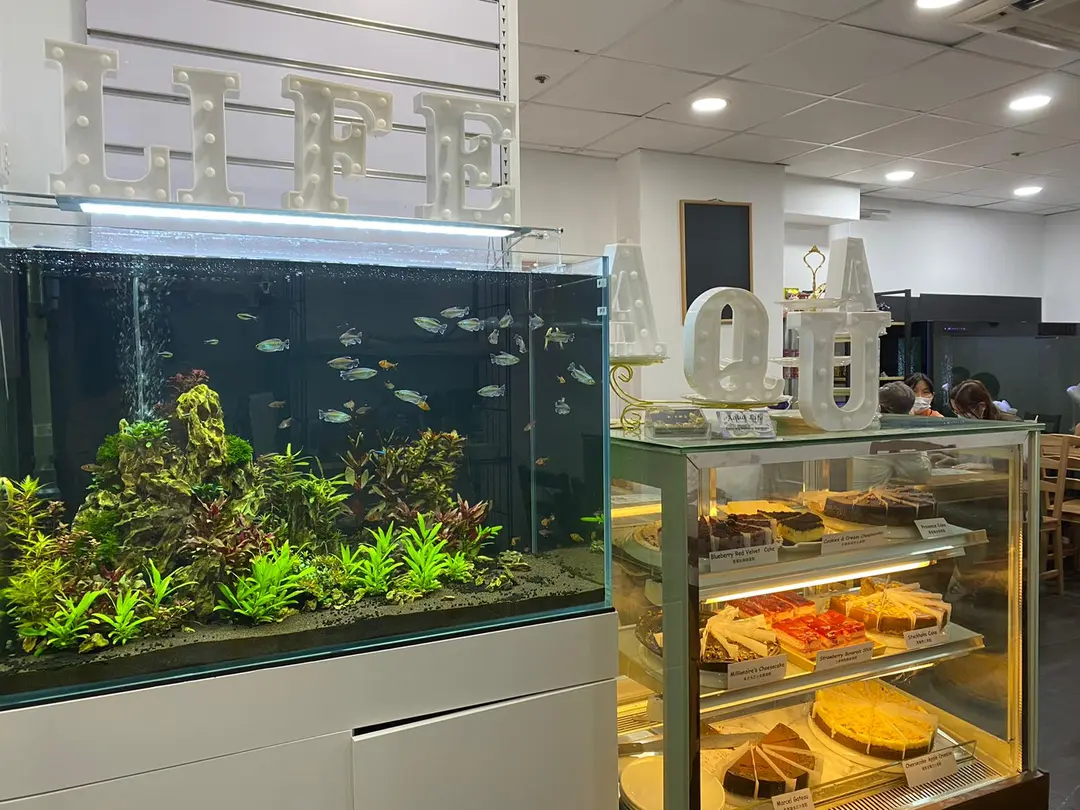 Aqua Life Restaurant