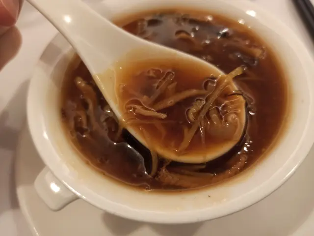 花膠絲燴五蛇羹