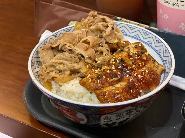 和風牛肉鰻魚飯