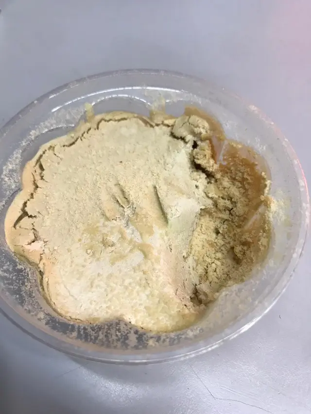 揼得死人嘅木糠布甸