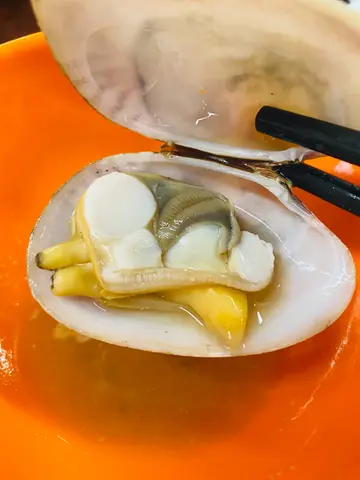 貴妃蚌