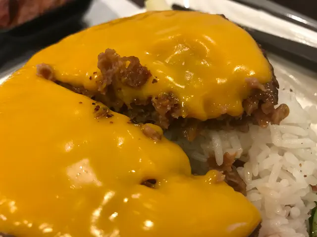 漢堡扒？不如話係免治肉餅就更有代入感