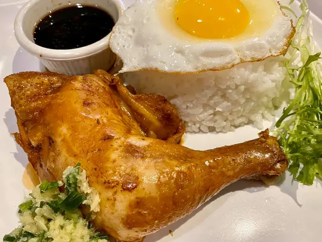 煎蛋秘製滷水雞髀飯