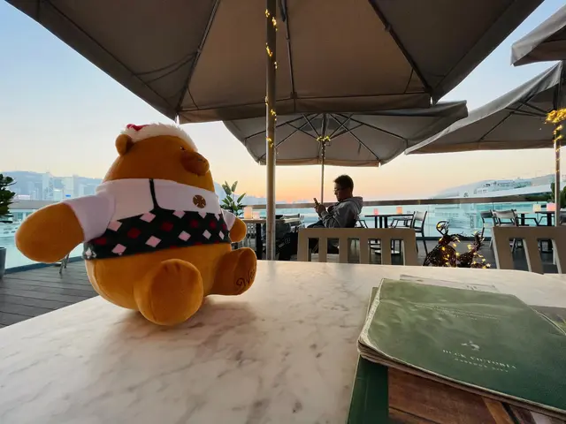 今次見無咩人，所有選左係戶外食飯，爸爸自然要變成獨自進食，我拎我囡今日抽中既聖誕熊來陪他吃飯洗吧！