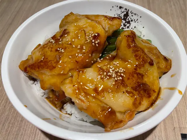 碳燒雞扒飯