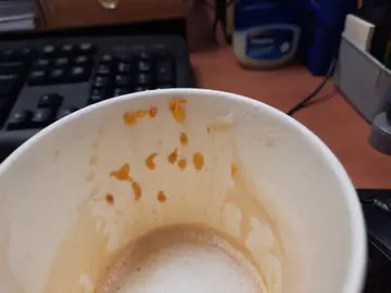 柑牛牛奶泡沫咖啡