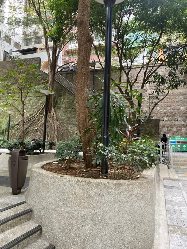 去日街既本店，行上呢條樓梯就係