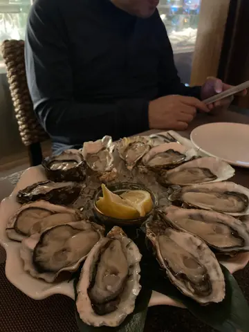 Oysters