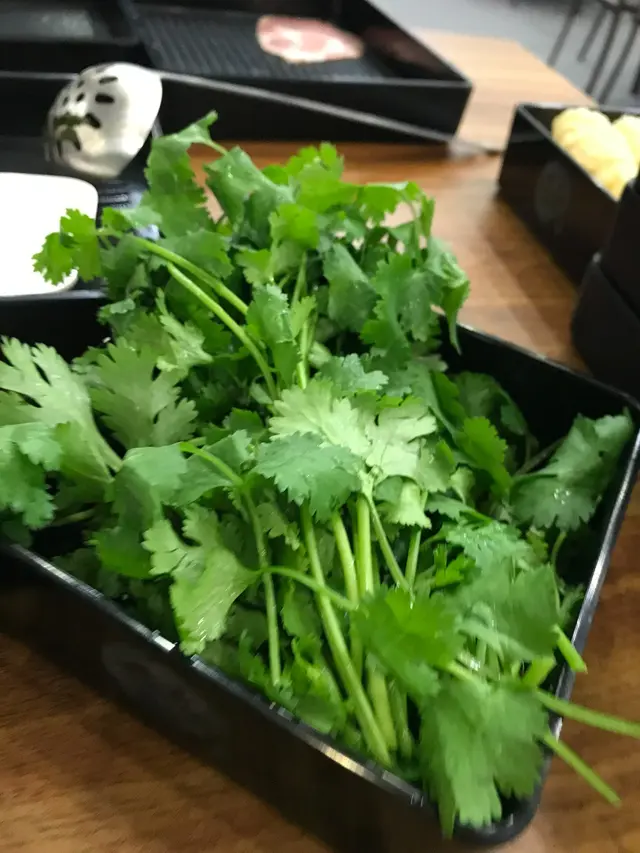 湯底我地將芫茜加碼了!