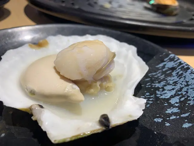 日本大元貝