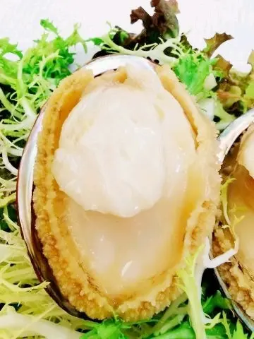 巨型的大連鮑魚,十分吸引眼球