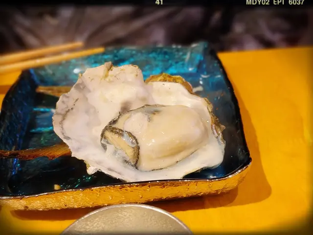 鐵盒燒生蠔（$380/一打）