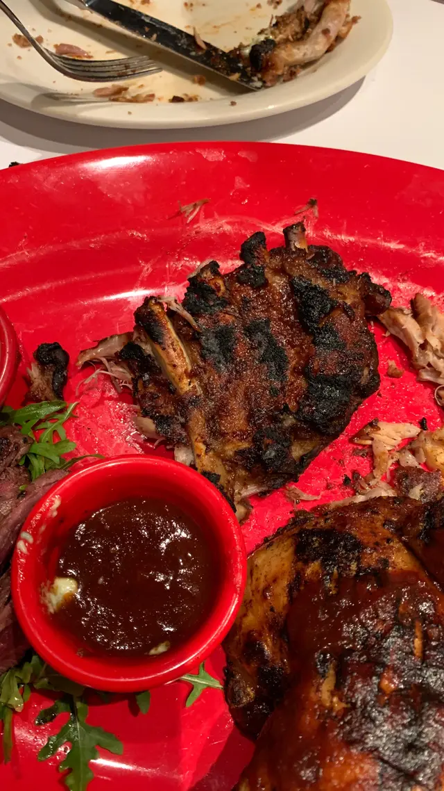 RIBS