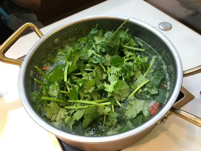 爆漿熔岩芫茜湯