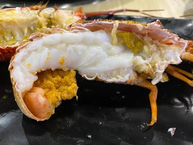 罕有琵琶龍蝦