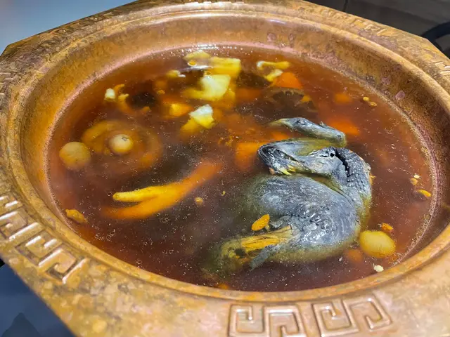 猴頭菇花膠燉烏雞湯