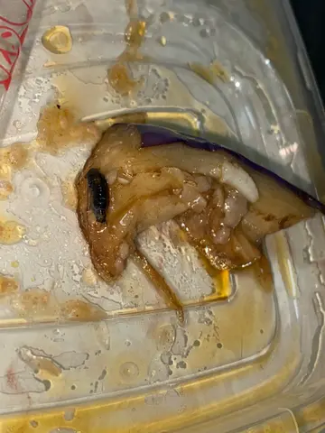 魚香茄子飯