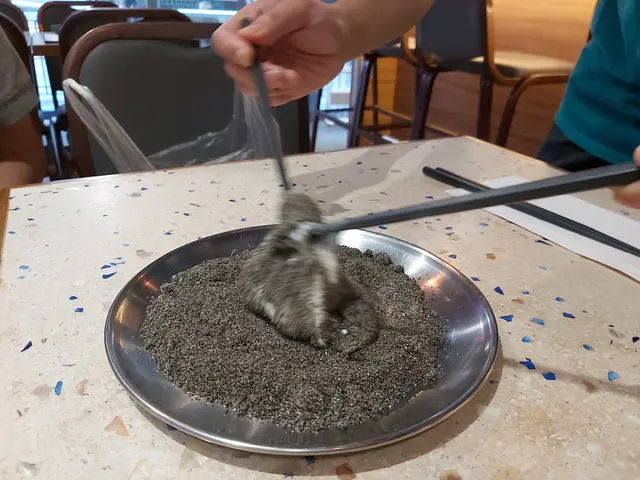 奶奶麻糬配黑芝麻