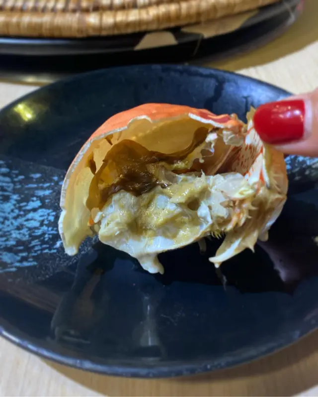 太平洋饅頭蟹