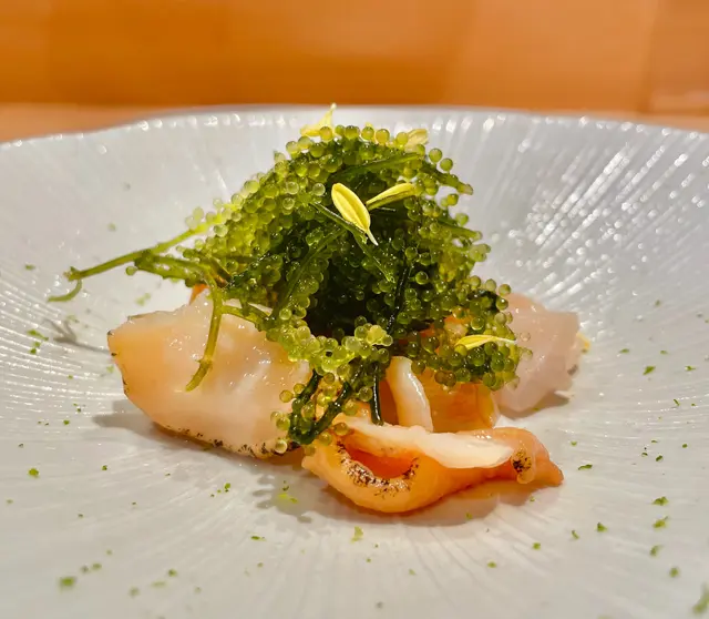 海葡萄 日本響螺刺身