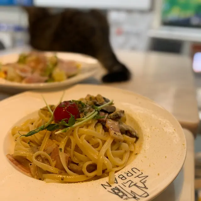 金沙卡邦尼煙肉扁意粉