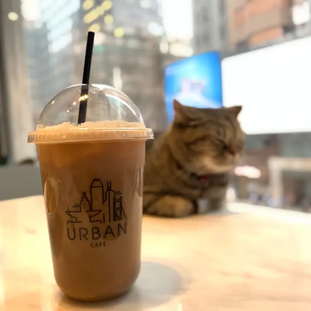 意大利薄荷咖啡