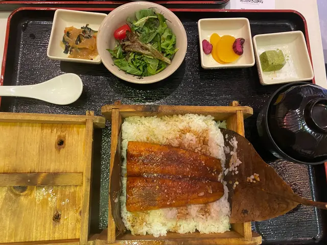 呢款定食既前菜同上一款一樣，上菜既時候賣相精美，用木盒作為食具感覺更有氣派及氣氛，鰻魚份量相當充足，而且食落去並無發現有魚骨，可以大大啖享用，但美中不足既係鰻魚汁相對較少，假如再多一啲相信會更加好，最後配上一杯淡淡既玄米茶，呢一餐都算係相當完滿。