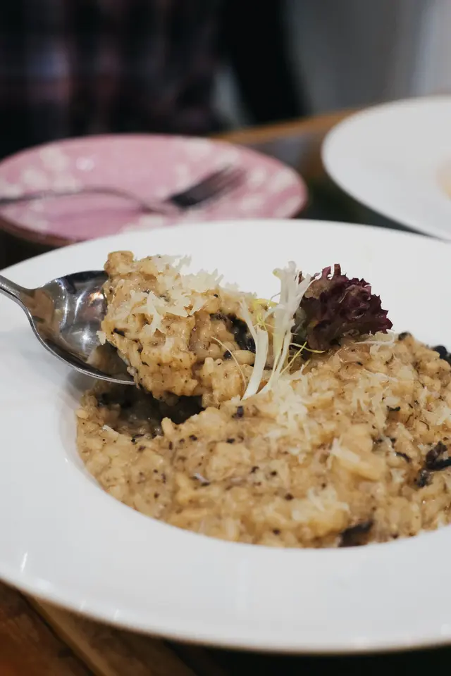 黑松露牛肝菌野菌意大利飯