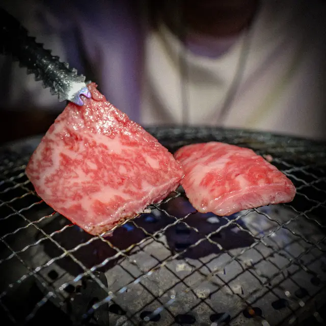 肉食者