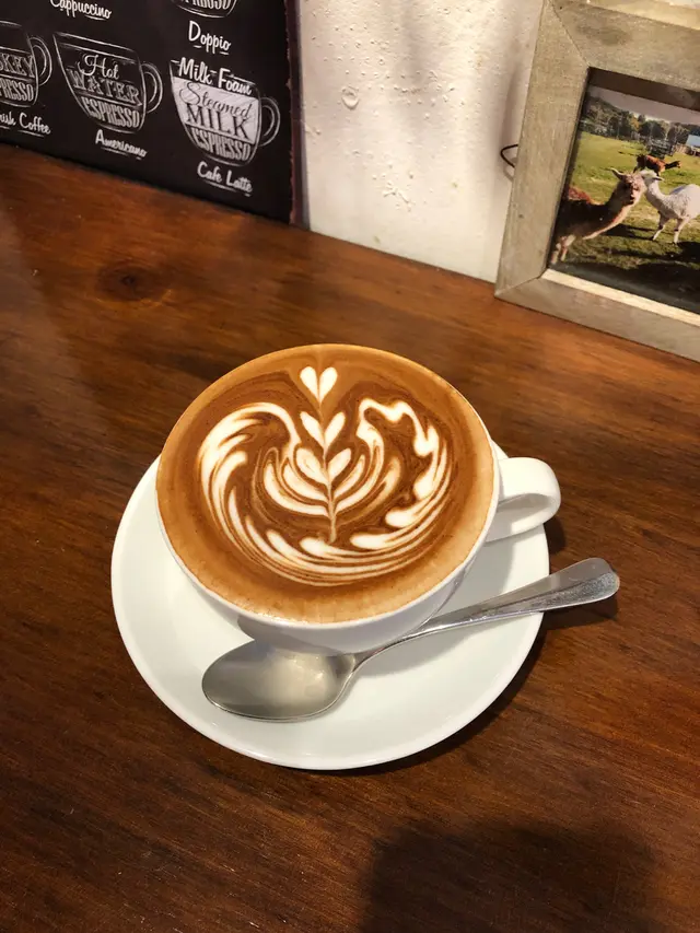Mocha