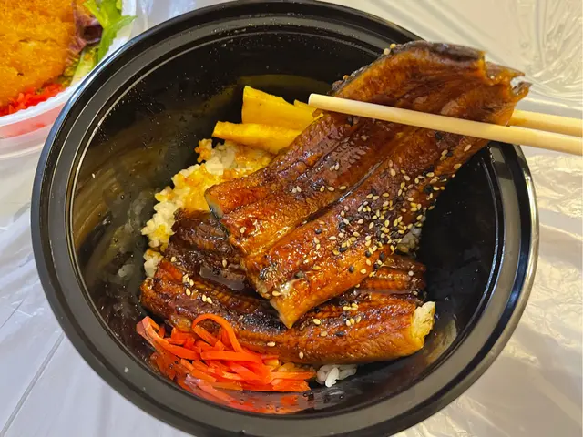 大盛雙層鰻魚丼