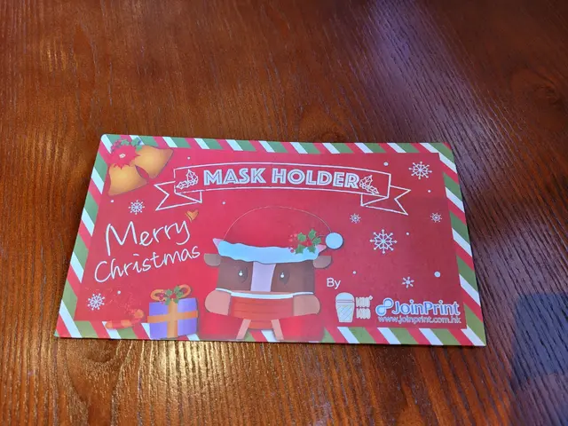 聖誕口罩袋