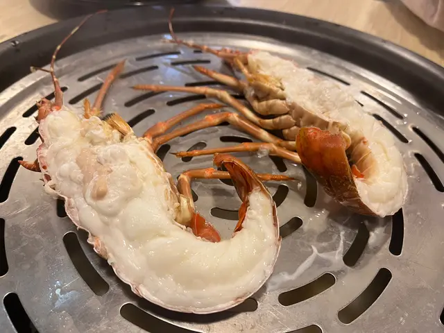 澳洲青年龍蝦