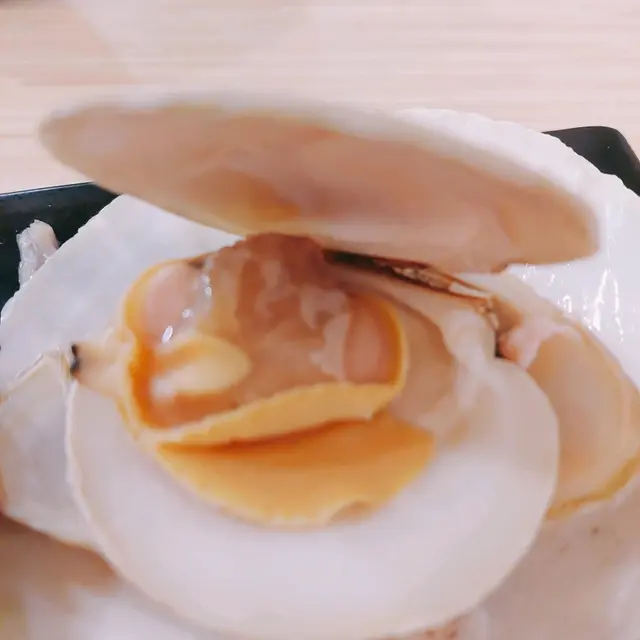 紐西蘭月亮貝