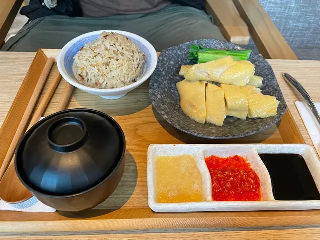 招牌海南雞飯:擺盆好靚,但份量真係好細!!!海南雞OK,飯味超香濃,好好食!雞湯冇落味精,飲落都覺得幾健康。整體評價還好吧,價錢唔抵。