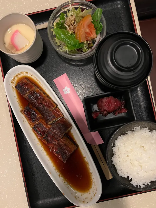 蒲燒鰻魚飯