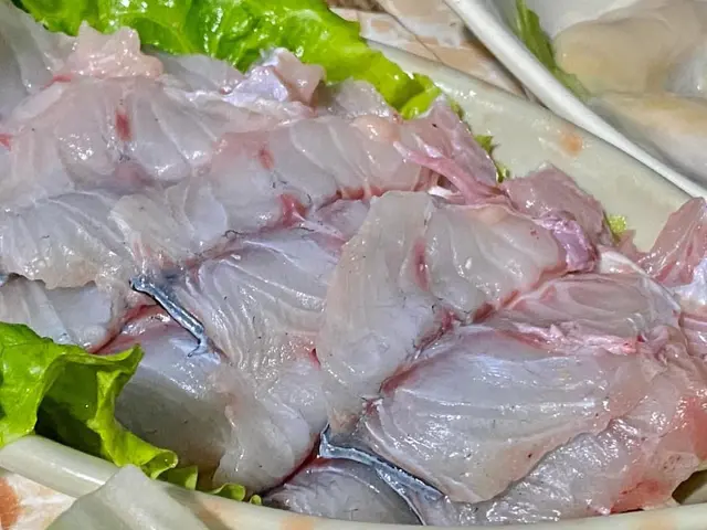 白鱔片