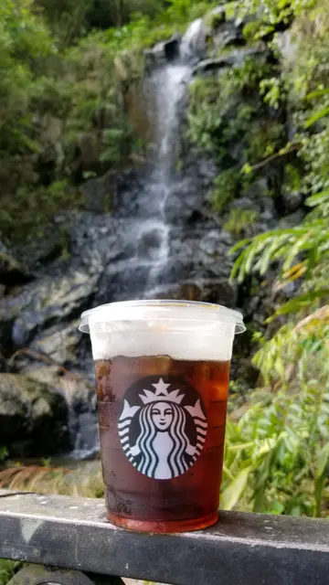 ice cold brew